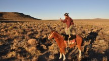 Imagen de El chamamé viral del gaucho wasapero de la Línea Sur