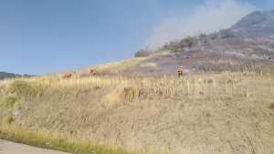 Grandes incendios causados por rayos en el interior de Neuquén