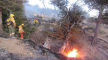 Imagen de Brigadistas de Bariloche viajan a combatir el fuego en la Amazonia