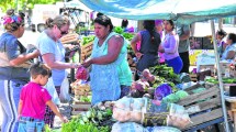 Imagen de Abren las ferias en las localidades de Neuquén sin casos activos de Covid-19