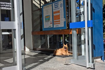 Mañana se harán clases públicas  y el jueves serán las asambleas (Foto: Florencia Salto)