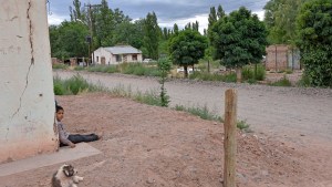 Polémica por las construcciones resistentes a los sismos en Neuquén