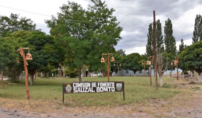 Sauzal Bonito volvió a temblar durante la madrugada. (Archivo Florencia Salto).-