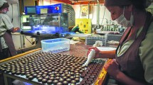 Imagen de Chocolates, jugo y plantines neuquinos para el mundo