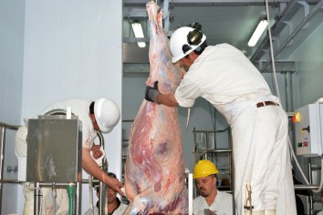 Ayer los operarios del matadero realizaron una prueba de faena. (Gentileza).-