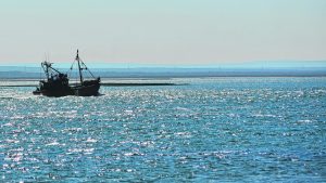 Pescador de SAO cayó al agua durante un temporal y será indemnizado