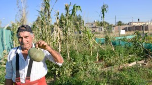 Por la crisis crecieron las huertas familiares en Neuquén