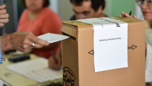 Amparo al elector: ¿qué hacer si no pudiste votar?