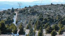 Imagen de Cortarán dos días la línea que da electricidad a Bariloche