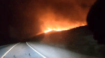 Imagen de Sigue fuera de control el incendio en Collón Cura