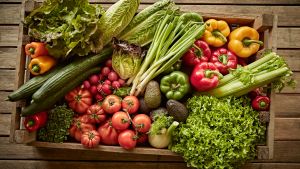 El potencial  nutricional y medicinal de los vegetales de la huerta: podés capacitarse