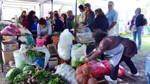 Se viene otra convocante feria de frutas y verduras sin agroquímicos en Viedma