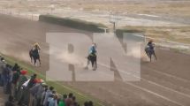 Imagen de Video: así fue el momento en que murió la yegua «Negrita» en el hipódromo