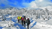 Imagen de Es el momento de moverse para llegar a la cima del Lanín