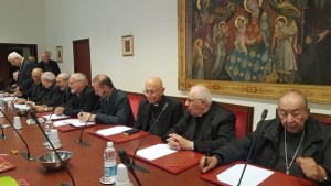 Abuso eclesial: La mirada que les transmitieron a los obispos patagónicos en Roma