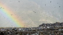 Imagen de Bariloche llama a licitación para el manejo del basural