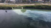 Imagen de Un afluente del arroyo Durán sigue oliendo mal