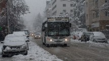 Imagen de Gremios y vecinalistas presentaron un amparo por el transporte en Bariloche