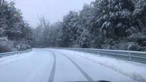 Este es el estado de las rutas y los pasos fronterizos en Neuquén