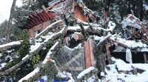 Imagen de Bariloche: cayó el coihue y les partió la casa