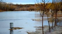 Imagen de Sin lluvias a la vista, Nación pide más generación y bajan los embalses del Limay