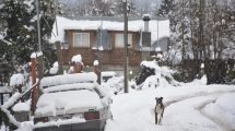 Imagen de Pronóstico extendido: frío, viento y nieve para los próximos días