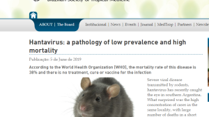 Hantavirus: difunden en Brasil los avances de Río Negro y Chile para enfrentarlo