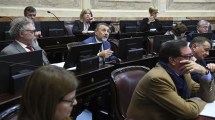 Imagen de ¿Quién se sentó hoy en la banca de Pichetto en el Senado?