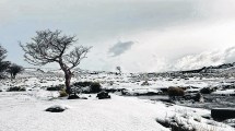 Imagen de Norte neuquino: el viaje de las postales inolvidables