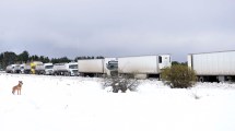 Imagen de Camioneros chilenos aguardan que se levante la restricción en el paso Cardenal Samoré