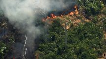 Imagen de Arde el Amazonia: las Fuerzas Armadas, listas para combatir el fuego