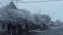 Imagen de Una intensa nevada cayó en Cutral Co y Plaza Huincul