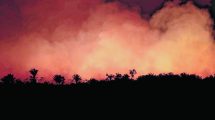 Imagen de Arde la Amazonia: el fuego se devora el pulmón del mundo