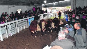 Con buenas ventas cerró la 40º Expo Rural