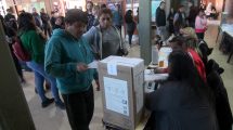 Imagen de Resultados oficiales de las elecciones PASO 2019 en Neuquén