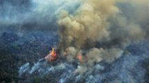 Imagen de Arde el Amazonia: Argentina puso 200 brigadistas a disposición de Brasil