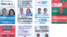 Imagen de Neuquén: quiénes son los candidatos a diputados y senadores para las PASO