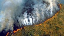 Imagen de Incendios en la Amazonia: hubo 72 mil focos desde enero