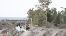 Imagen de El municipio de Neuquén denunció el robo de 70 pinos en Parque Norte