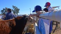 Imagen de La Expo Rural Ganadera del Alto Valle regresa a Paso Córdoba, en Roca