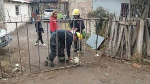 Una perra murió electrocutada cuando tocó la reja de una casa de Centenario