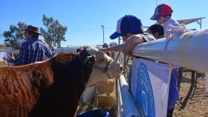 La fiesta del campo brilló en Paso Córdoba