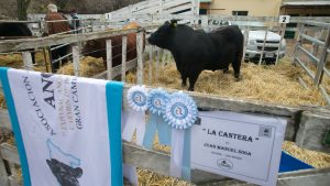 La Rural de Patagones se vivió a pleno