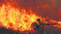 Imagen de Nación envió 64 brigadistas para combatir los incendios de Córdoba