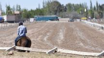 Imagen de Maltrato animal: la fiscalía acusó a un jockey y al dueño del caballo «Milito» en Neuquén