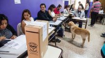 Imagen de Elecciones 2023 en Río Negro: confirman el número de mesas habilitadas para los comicios en abril