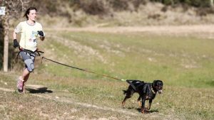 Este domingo podés competir en una carrera con tu mascota