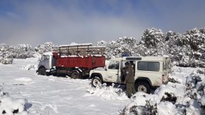 Un hombre de 77 años y su hijo fueron rescatados al quedar varados en la nieve