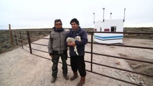 Criadores cerraron el acceso al campo donde instalan el parque eólico de Neuquén