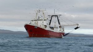 Aclaran que los barcos frente a El Cóndor se refugian de los fuertes vientos